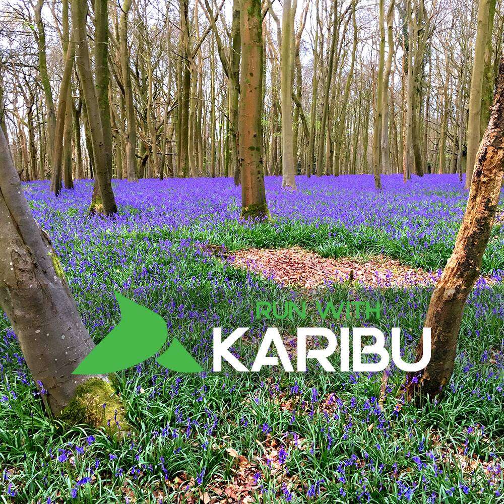 Bluebell-cube.jpg