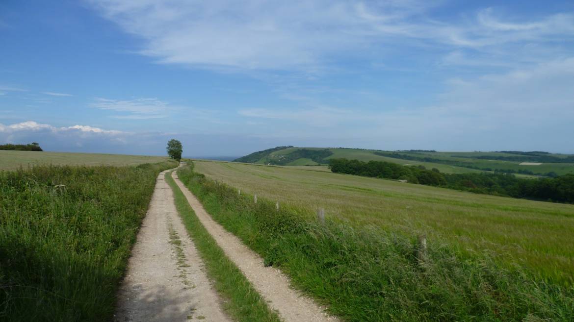 Bignor-Hill.jpeg
