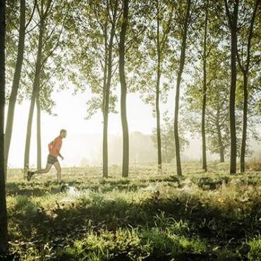 Trail running and the forest effect