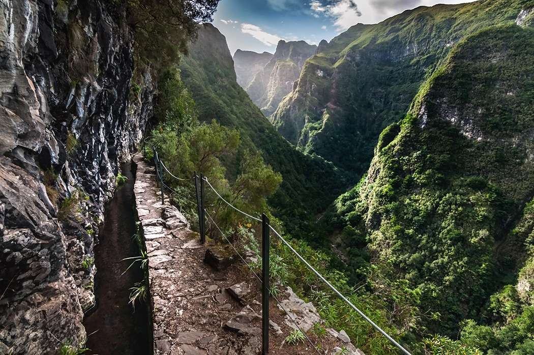 Run-with-KARIBU-Madeira.jpg