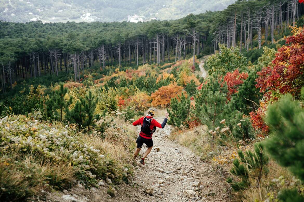 KARIBU-trail-routes-sussex-scaled.jpg